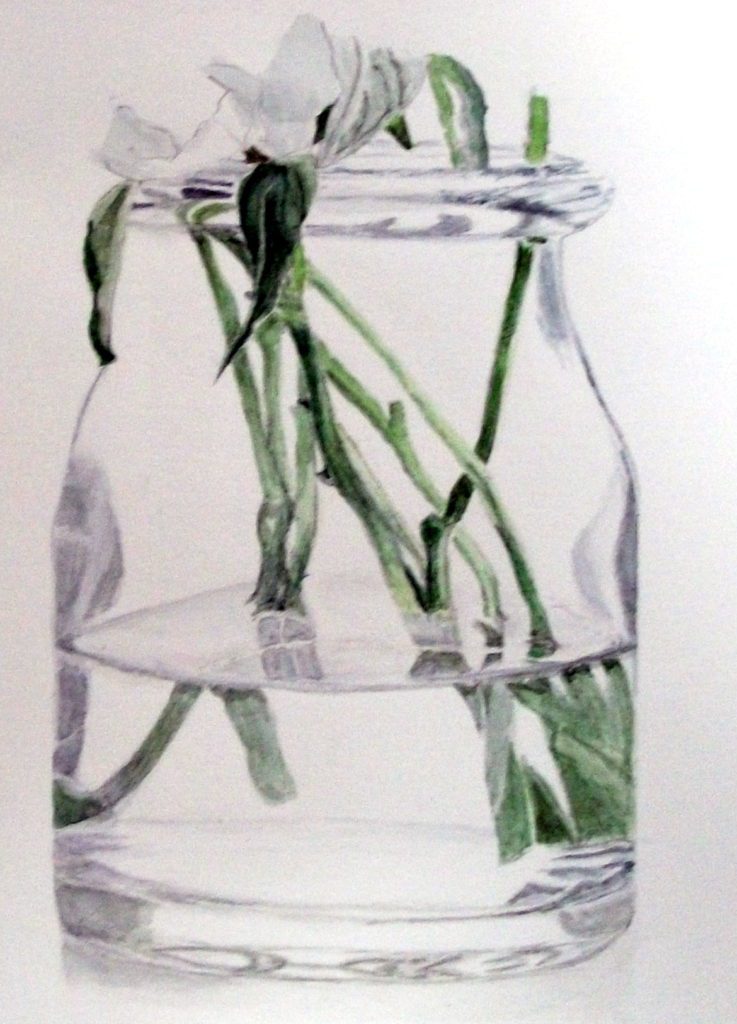 初心者が描くガラス花瓶の水彩画 初心者がはじめて描く細密画