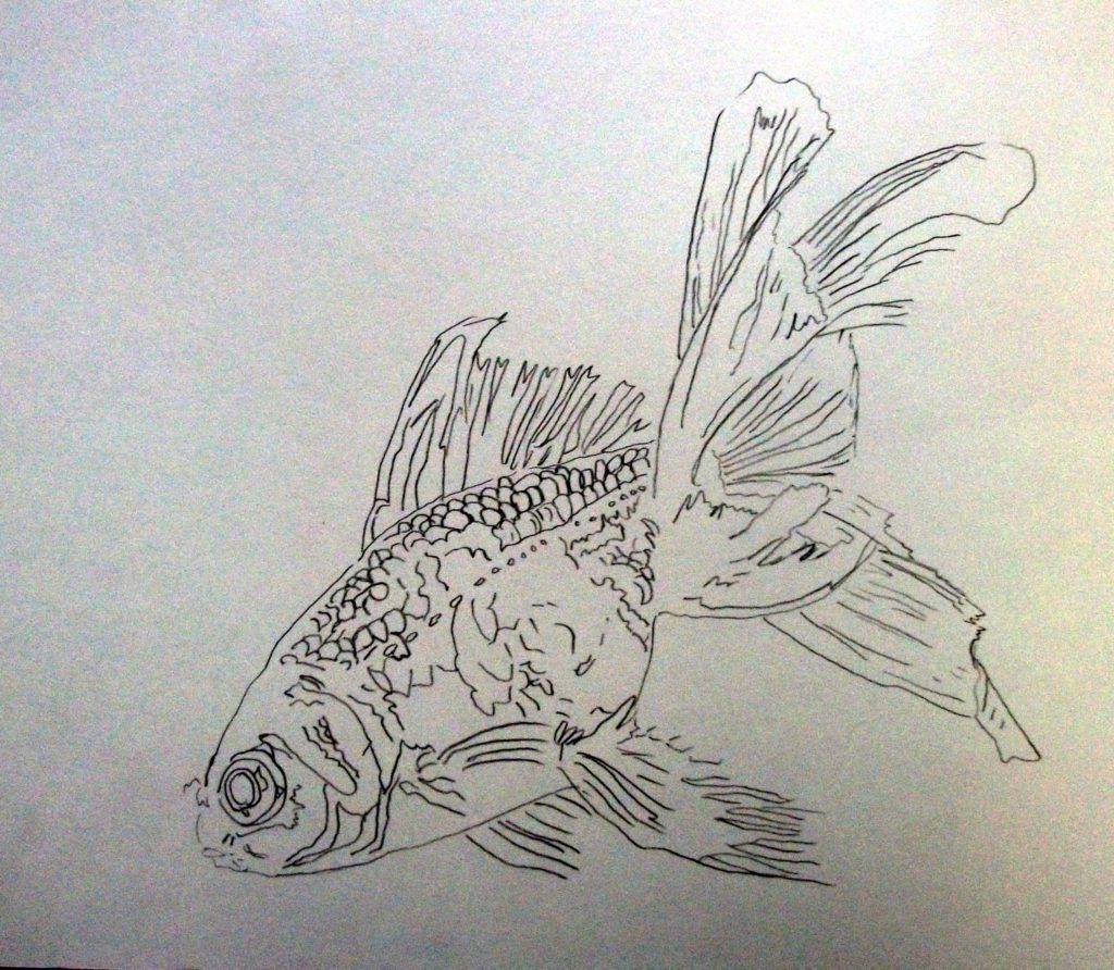 水彩画 金魚