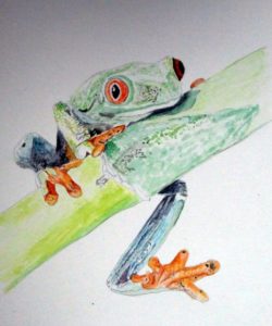 カエル の細密画を動画を見ながら描いてみました 初心者がはじめて描く細密画