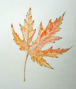 紅葉 初心者がはじめて描く細密画