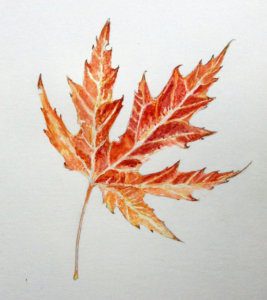 
紅葉の水彩画